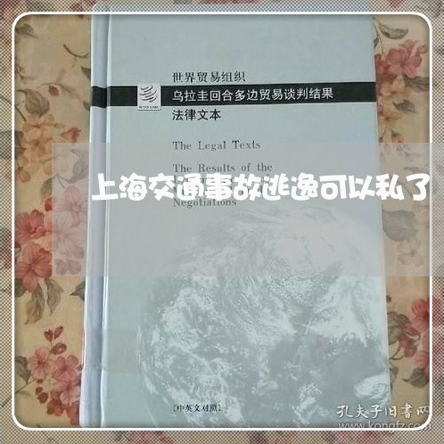 上海交通事故逃逸可以私了/2023031824950