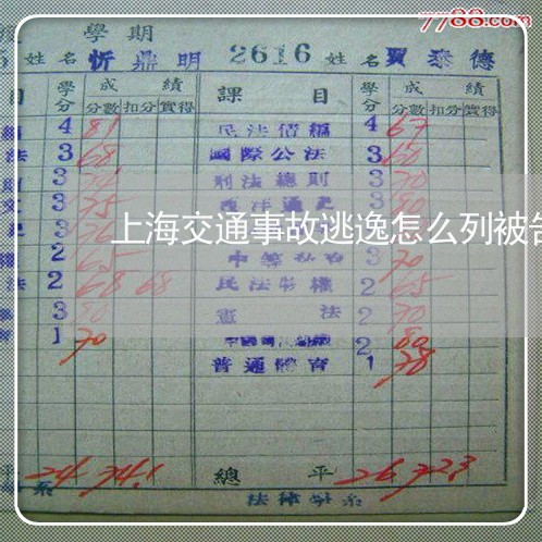 上海交通事故逃逸怎么列被告/2023033158474 上海交通事故逃逸怎么列被告/2023033158474