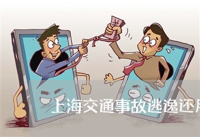 上海交通事故逃逸还用拘留吗/2023033137248