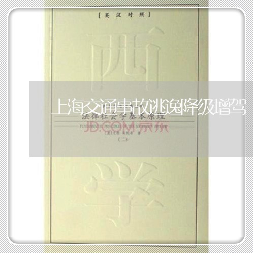 上海交通事故逃逸降级增驾/2023031873926 上海交通事故逃逸降级增驾/2023031873926