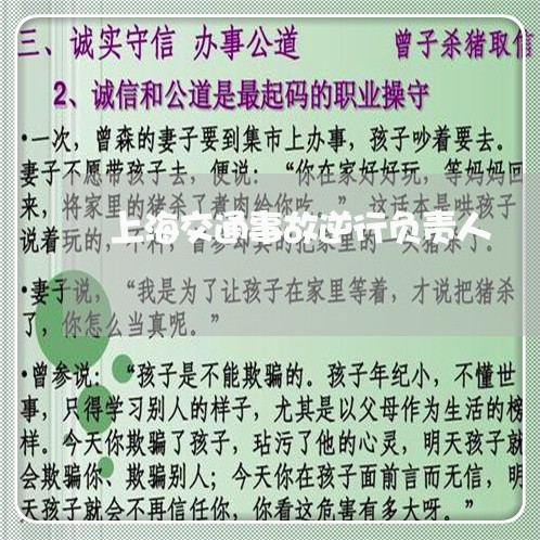 上海交通事故逆行负责人/2023022806168 上海交通事故逆行负责人/2023022806168