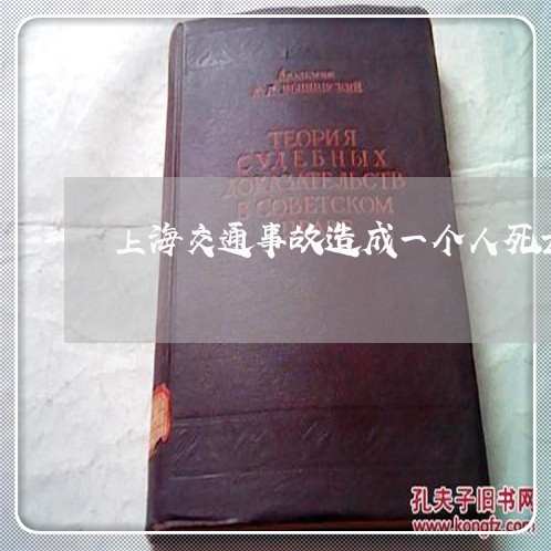 上海交通事故造成一个人死亡/2023033145915