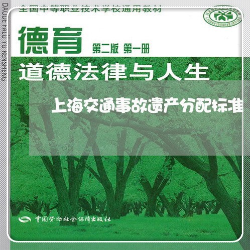 上海交通事故遗产分配标准/2023031870390 上海交通事故遗产分配标准/2023031870390
