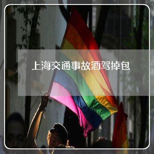 上海交通事故酒驾掉包/2023021283693 上海交通事故酒驾掉包/2023021283693