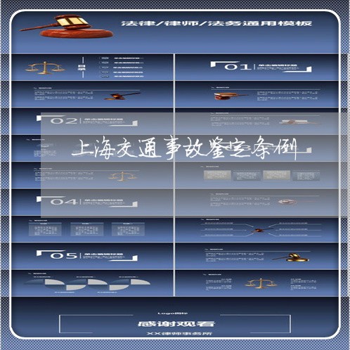上海交通事故鉴定条例/2023021252934 上海交通事故鉴定条例/2023021252934
