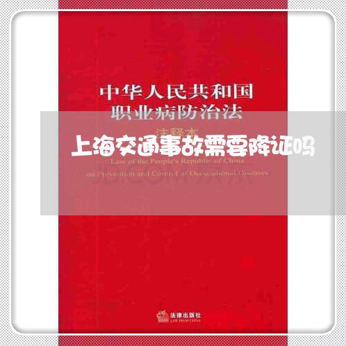上海交通事故需要降证吗/2023022883825
