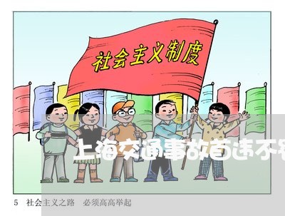 上海交通事故首违不罚/2023021262403