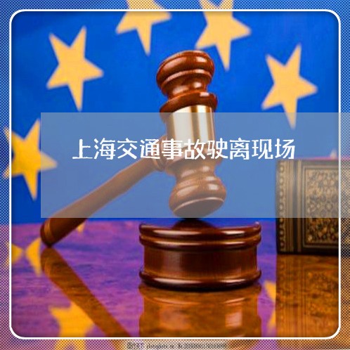 上海交通事故驶离现场/2023021251693 上海交通事故驶离现场/2023021251693