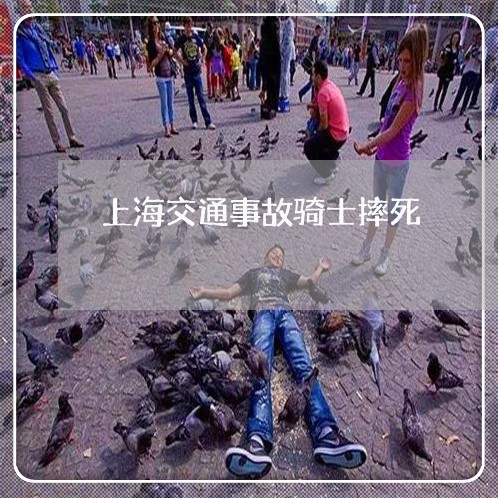 上海交通事故骑士摔死/2023021226168 上海交通事故骑士摔死/2023021226168
