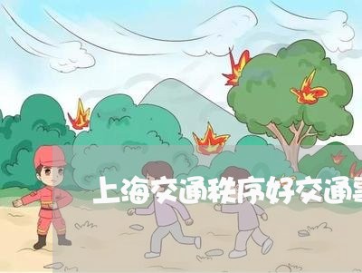 上海交通秩序好交通事故少/2023033130593