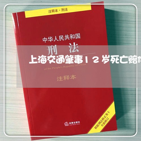 上海交通肇事12岁死亡赔偿/2023033165497 上海交通肇事12岁死亡赔偿/2023033165497