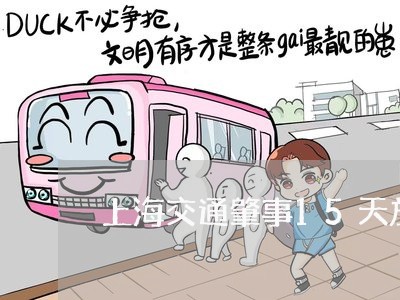 上海交通肇事15天放车/2023022816138