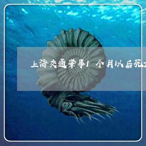 上海交通肇事1个月以后死亡/2023033133614 上海交通肇事1个月以后死亡/2023033133614