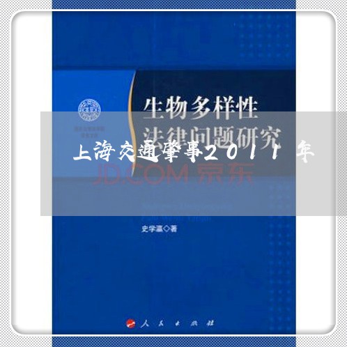 上海交通肇事2011年/2023022837259