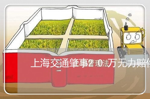 上海交通肇事20万无力赔偿/2023033164827 上海交通肇事20万无力赔偿/2023033164827