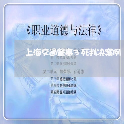 上海交通肇事3死判决案例/2023033135058