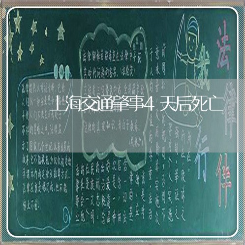 上海交通肇事4天后死亡/2023042250403