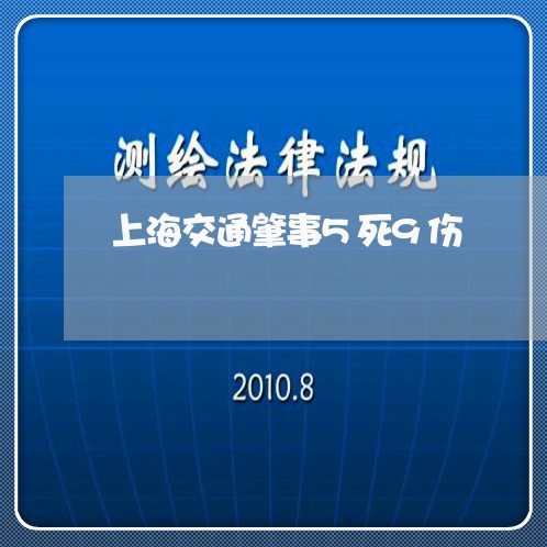 上海交通肇事5死9伤/2023021240572 上海交通肇事5死9伤/2023021240572