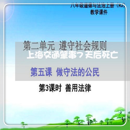 上海交通肇事7天后死亡/2023042215047