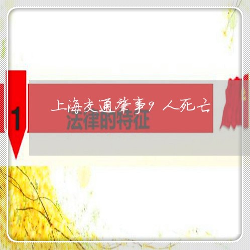 上海交通肇事9人死亡/2023021207148 上海交通肇事9人死亡/2023021207148