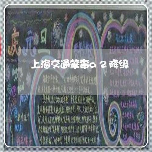 上海交通肇事a2降级/2023021248371 上海交通肇事a2降级/2023021248371