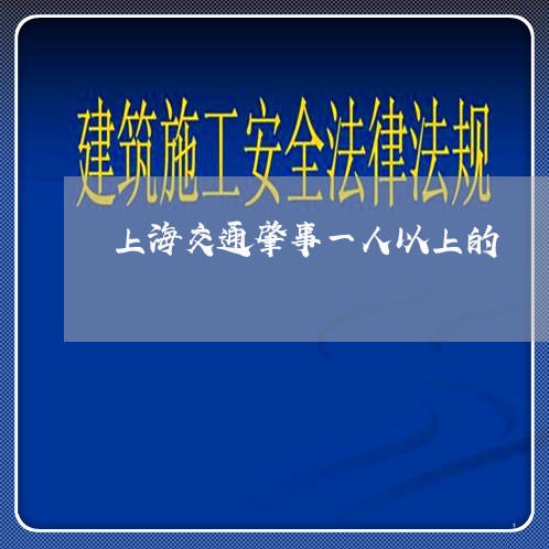 上海交通肇事一人以上的/2023042294626