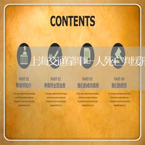 上海交通肇事一人死亡判缓刑/2023033189572