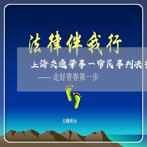 上海交通肇事一审民事判决书/2023033116128