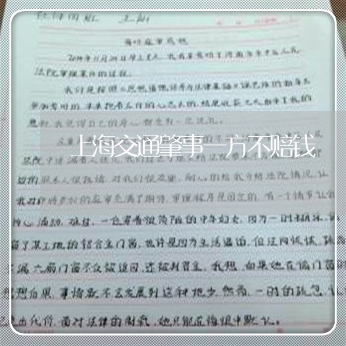 上海交通肇事一方不赔钱/2023042207370