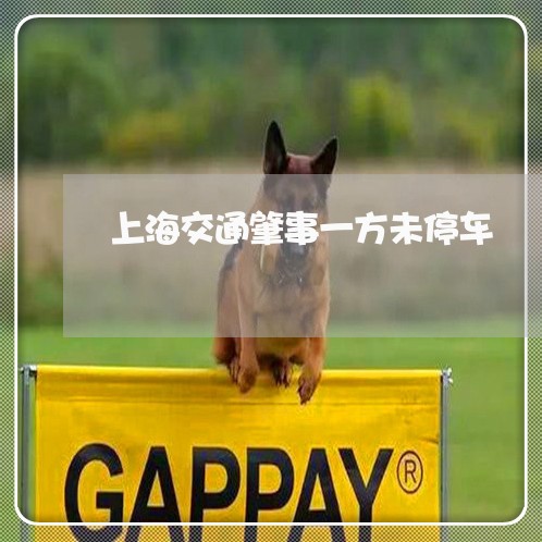 上海交通肇事一方未停车/2023022803604 上海交通肇事一方未停车/2023022803604