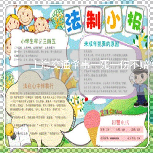 上海交通肇事一死一伤不赔偿/2023033138260
