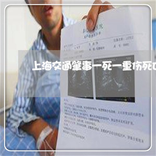上海交通肇事一死一重伤死亡/2023033170593