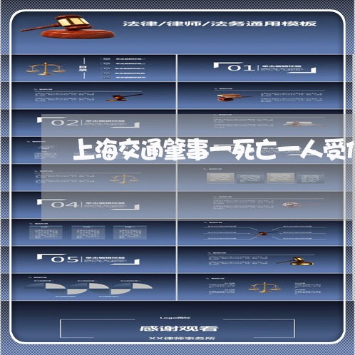上海交通肇事一死亡一人受伤/2023033170595