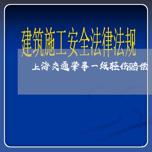 上海交通肇事一级轻伤赔偿/2023031858161