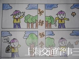 上海交通肇事三天后报案/2023022809504 上海交通肇事三天后报案/2023022809504