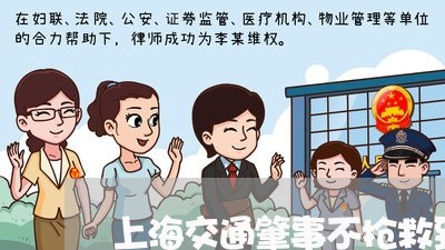 上海交通肇事不抢救致人死亡/2023033134826 上海交通肇事不抢救致人死亡/2023033134826
