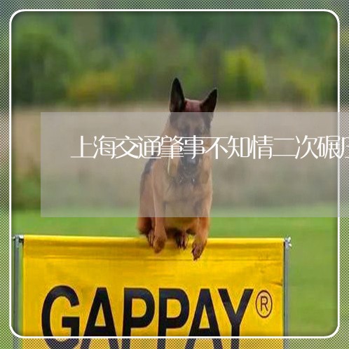 上海交通肇事不知情二次碾压/2023033186158 上海交通肇事不知情二次碾压/2023033186158
