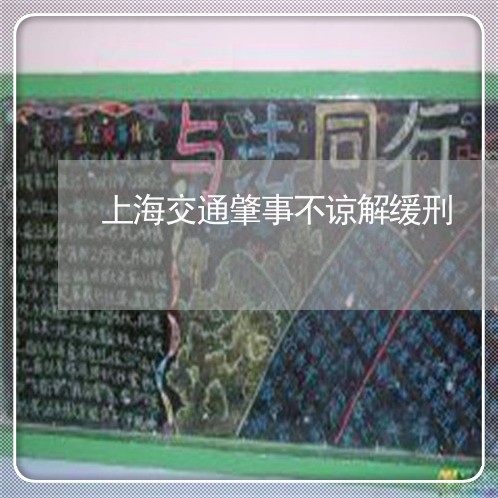 上海交通肇事不谅解缓刑/2023022884046 上海交通肇事不谅解缓刑/2023022884046