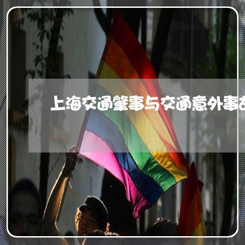 上海交通肇事与交通意外事故/2023033136259 上海交通肇事与交通意外事故/2023033136259