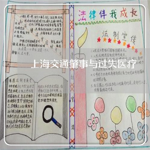 上海交通肇事与过失医疗/2023022871804