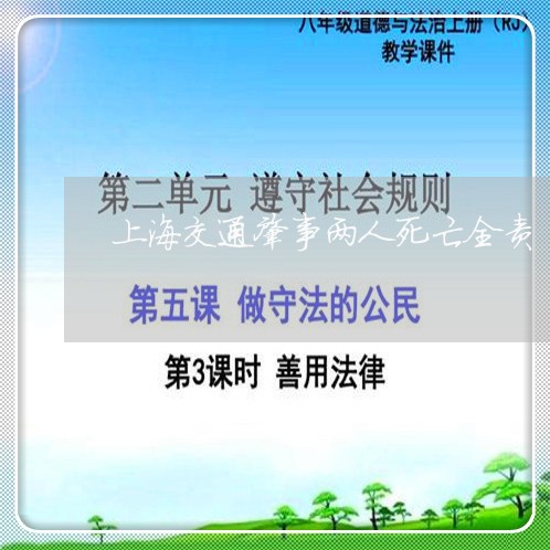 上海交通肇事两人死亡全责/2023040150404