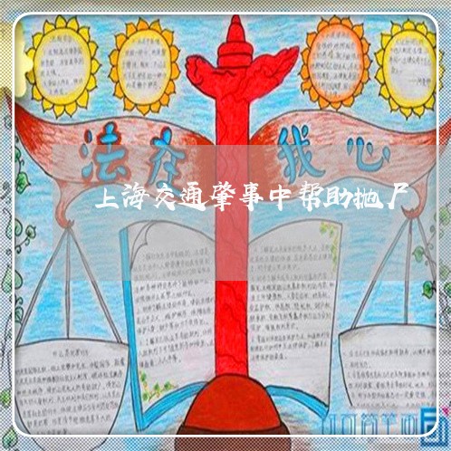 上海交通肇事中帮助抛尸/2023022802725 上海交通肇事中帮助抛尸/2023022802725