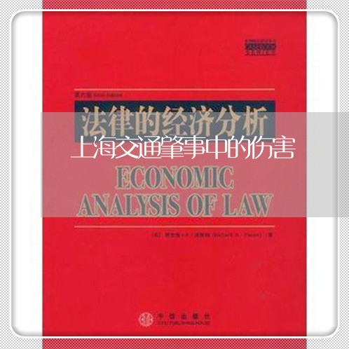 上海交通肇事中的伤害/2023021294838 上海交通肇事中的伤害/2023021294838