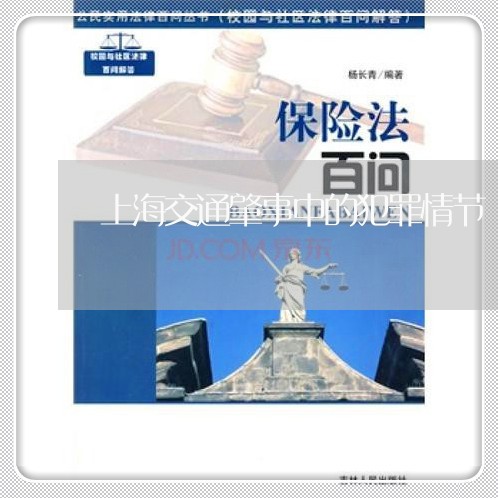 上海交通肇事中的犯罪情节/2023031913156