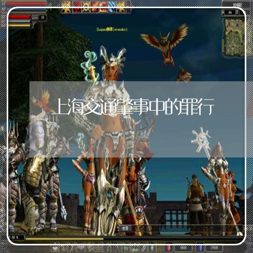 上海交通肇事中的罪行/2023021227170 上海交通肇事中的罪行/2023021227170