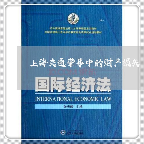 上海交通肇事中的财产损失/2023031993715