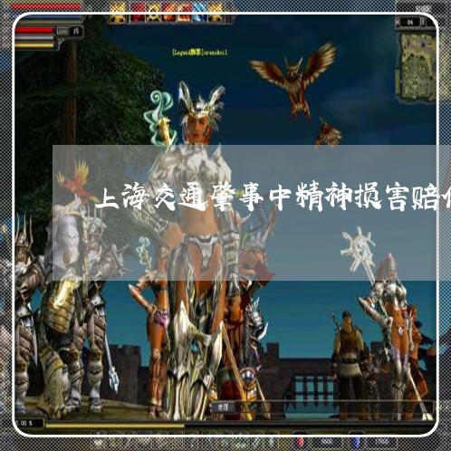 上海交通肇事中精神损害赔偿/2023033150495 上海交通肇事中精神损害赔偿/2023033150495