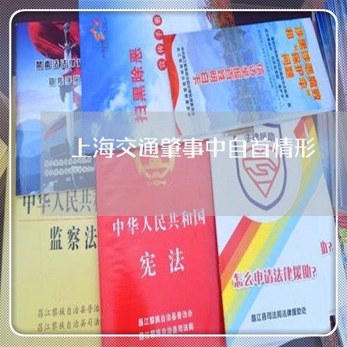 上海交通肇事中自首情形/2023022887957 上海交通肇事中自首情形/2023022887957