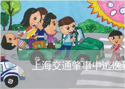 上海交通肇事中逃逸致人死亡/2023033138403 上海交通肇事中逃逸致人死亡/2023033138403