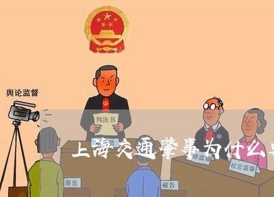 上海交通肇事为什么要入刑/2023031984057